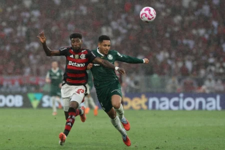 Relembre campanhas de Palmeiras e Flamengo na Libertadores Relembre campanhas de Palmeiras e Flamengo na Libertadores