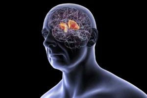 Cardiologista indica principais sintomas de AVC e como reduzir o risco