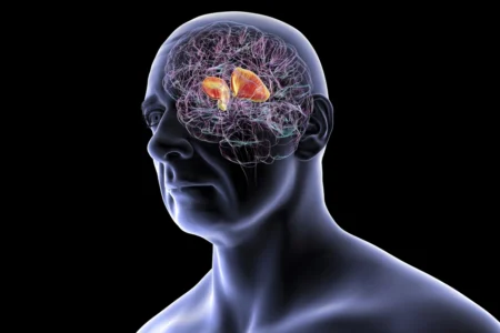 Cardiologista indica principais sintomas de AVC e como reduzir o risco
