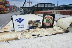 PF apreende 615 kg de cocaína em carga de banana no Porto de Santos