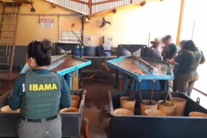 Concurso do Ibama-Incra: banca contratada para 60 vagas temporárias