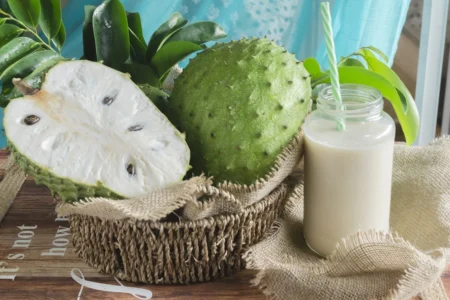 Confira 3 receitas de sucos direto da Amazônia e seus benefícios