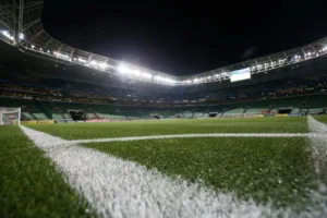 Palmeiras e 4 clubes defendem gramados sintéticos no futebol agora