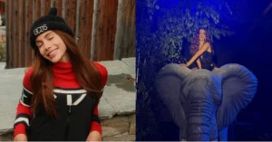 Anitta arrasa com looks ousados em sua festa de 33 anos agora