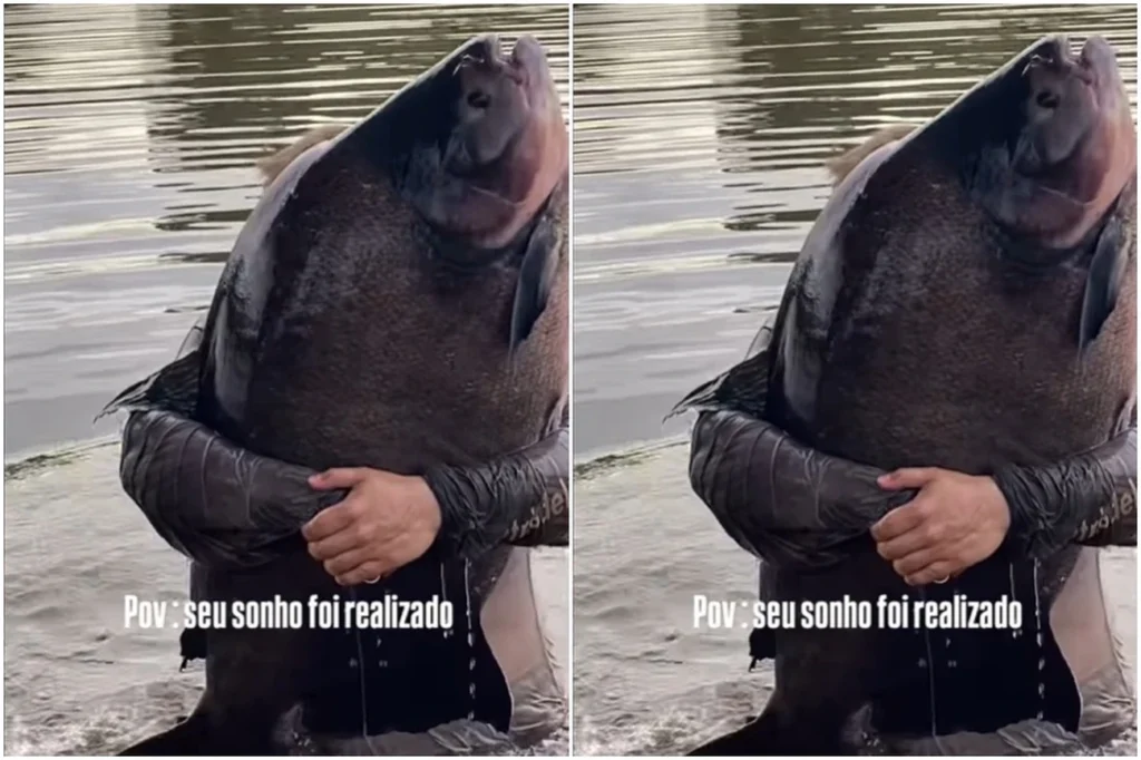 Pescador de 18 anos captura monstro dos rios de 41kg em Caldas Novas hoje Pescador de 18 anos captura monstro dos rios de 41kg em Caldas Novas hoje
