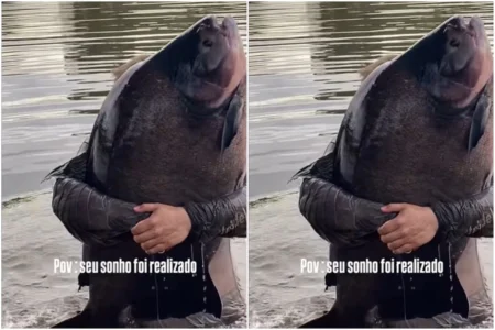 Pescador de 18 anos captura monstro dos rios de 41kg em Caldas Novas hoje Pescador de 18 anos captura monstro dos rios de 41kg em Caldas Novas hoje