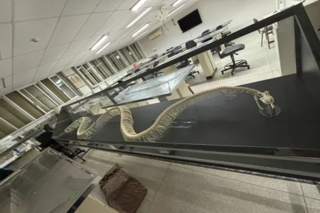 Museu de Biologia UnB lança exposição gratuita sobre serpentes hoje