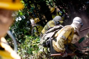 ICMBio Cancela Queima no Parque Nacional de Brasília Hoje Devido a Rajadas de Vento