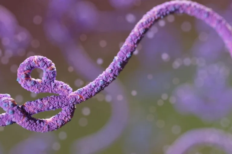 Ebola descartada após testes no Rio de Janeiro, paciente pode deixar isolamento